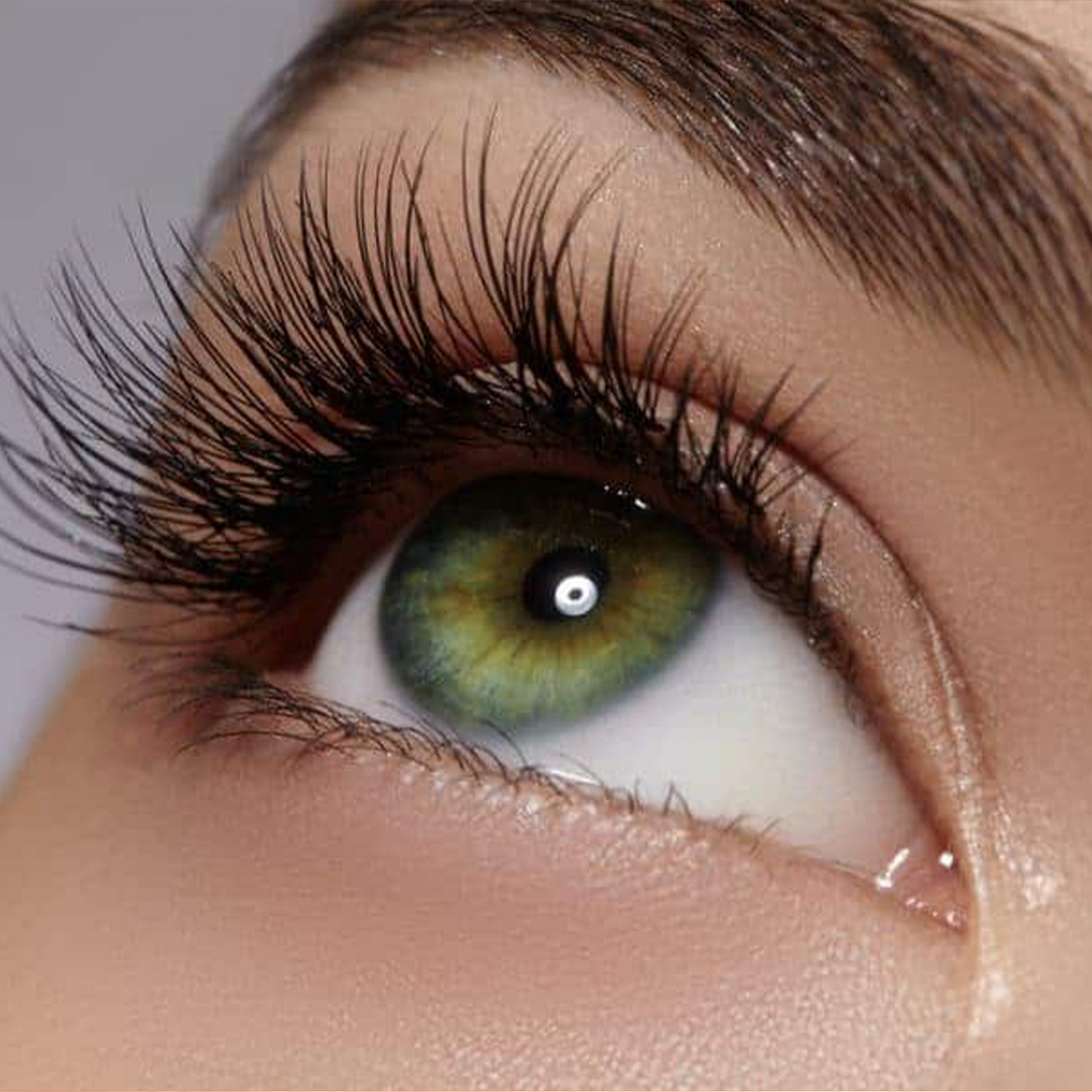 Extension Ciglia One to One